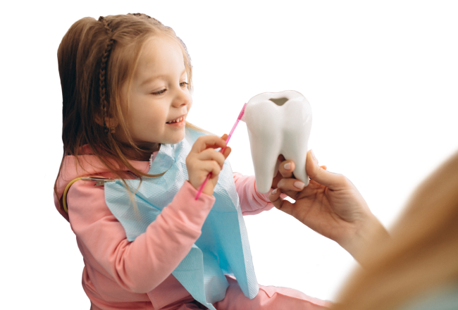 A young girl being taught how to brush on a prop tooth.